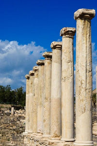 Israel Bet She'an National Park Columns Poster Print