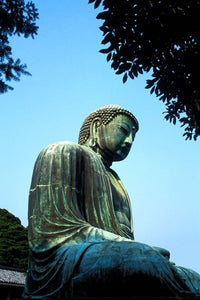 Great Buddha of Kamakura Poster Print by Bill Bachmann