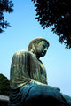 Great Buddha of Kamakura Poster Print by Bill Bachmann