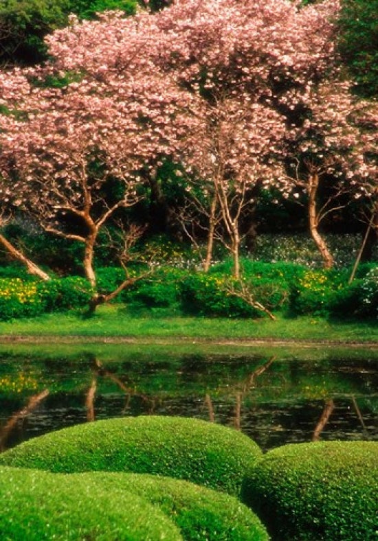 Reflecting Pond at Imperial Palace East Gardens, Tokyo Poster Print
