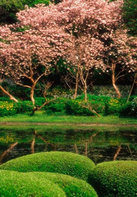 Reflecting Pond at Imperial Palace East Gardens, Tokyo Poster Print