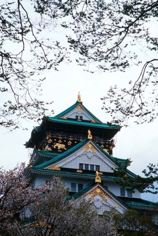 Osaka Castle and Cherry Blossom Trees Poster Print