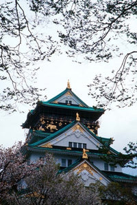 Osaka Castle and Cherry Blossom Trees Poster Print