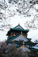 Osaka Castle and Cherry Blossom Trees Poster Print