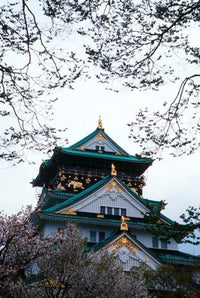 Osaka Castle and Cherry Blossom Trees Poster Print