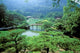 Ritsurin Park Scenic Poster Print by Dave Bartruff showcasing vibrant landscapes.
