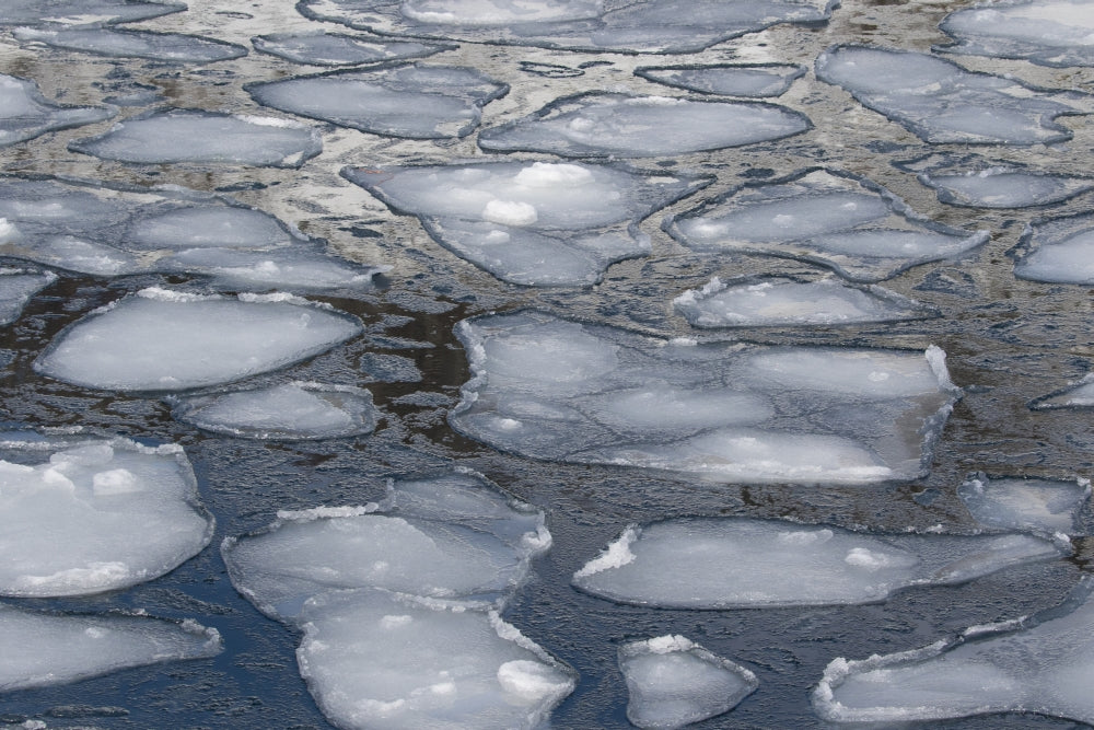 Pancake Ice along Shiretoko Peninsula Art Print by Darrell Gulin