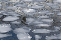 Pancake Ice along Shiretoko Peninsula Art Print by Darrell Gulin