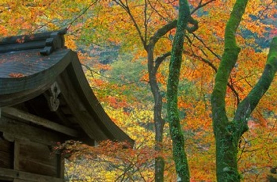 Kibune Shrine, Kyoto, Japan Poster Print by Rob Tilley