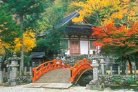 Ryuzenji Temple Art Print by Rob Tilley - Japanese Landscape