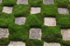 Tofukuji Temple Garden Poster Print by Rob Tilley