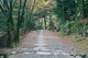 Kozanji Temple Kyoto Poster Print by Rob Tilley showcasing serene architecture and nature.
