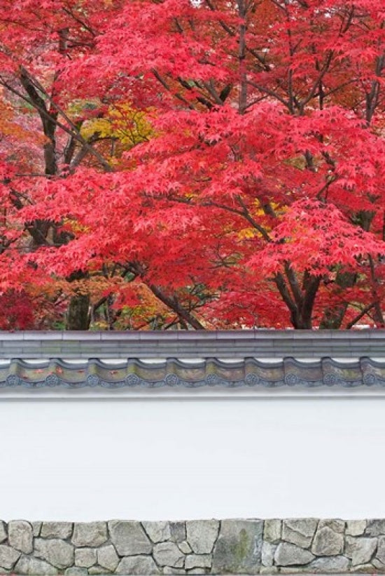 Eikando Temple Kyoto Poster Print by Rob Tilley