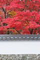 Eikando Temple Kyoto Poster Print by Rob Tilley