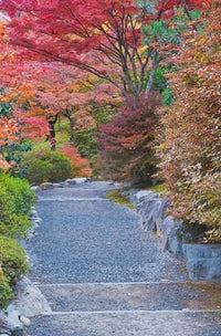 Tenryuji Temple Garden Poster Print by Rob Tilley showcasing serene Japanese landscape.