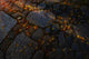 Rock walkway covered with fallen maple tree leaves poster print by Sheila Haddad.