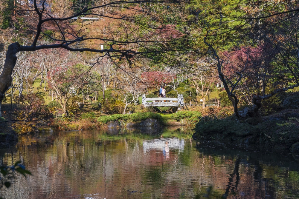 Couple Walking Across a Bridge in Narita Temple Garden Poster Print by Sheila Haddad