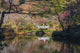 Couple Walking Across a Bridge in Narita Temple Garden Poster Print by Sheila Haddad