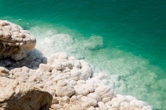 Jordan Dead Sea Salt on the Shore Poster Print by Aldo Pavan