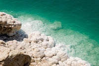 Jordan Dead Sea Salt on the Shore Poster Print by Aldo Pavan