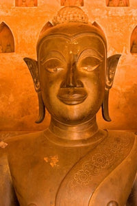 Buddha Images at Wat Si Saket, Vientiane, Laos Poster Print