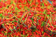 Hot Chili Poster Print from Semporna, Borneo, Malaysia by Anthony Asael