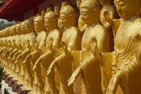 Standing gold-colored Buddha statues at Foukuangshan Temple poster print.