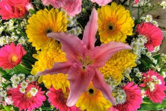 Bangkok Market Flowers Poster Print showcasing vibrant floral close-up.