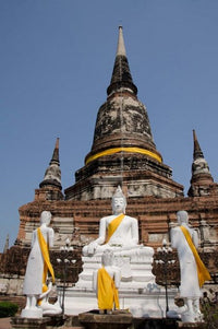 Buddha statue at Wat Phra Chao Phya-thai poster print by Cindy Miller Hopkins