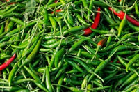 Maeklong Railroad Tracks Market Poster Print by Cindy Miller Hopkins featuring Thai peppers in Bangkok, Thailand.