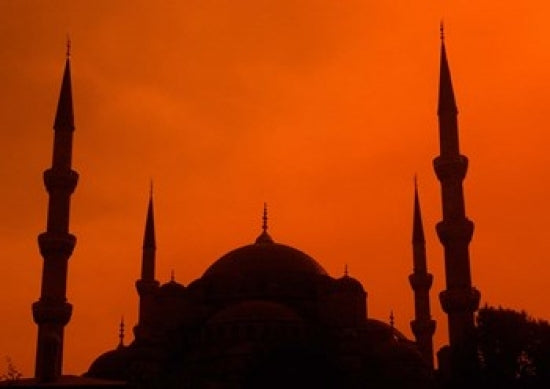 Blue Mosque at Sunset in Istanbul Poster Print by Bill Bachmann