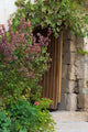 Doorway in Small Village in Cappadocia, Turkey poster print by Darrell Gulin