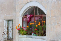 Windows and Flowers in Village, Cappadocia, Turkey Poster Print by Darrell Gulin