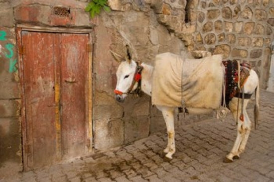 Donkey and Cobbled Streets, Mardin, Turkey Poster Print by Darrell Gulin