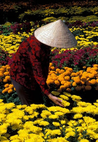 Gardens with Woman in Straw Hat Art Print by Bill Bachmann, showcasing a serene Vietnamese landscape.