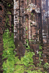 Encroaching moss and Hindu statues at My Son Sanctuary poster print by Paul Dymond.