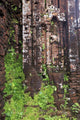 Encroaching moss and Hindu statues at My Son Sanctuary poster print by Paul Dymond.