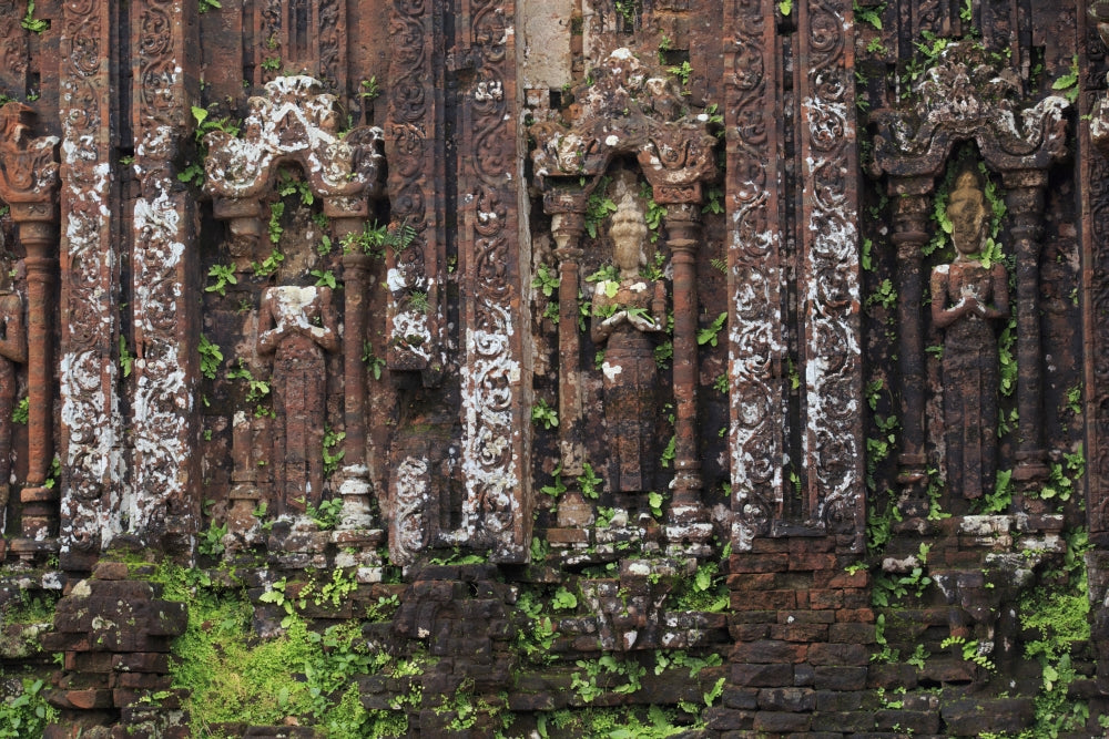 Encroaching Moss and Hindu Statues at My Son Sanctuary Poster Print by Paul Dymond