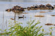 Koh Trong Island Floating Vietnamese Fishing Village Poster Print by Yvette Cardozo