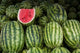 UAE Abu Dhabi Watermelon at the Market Poster Print showcasing vibrant colors and fresh produce.