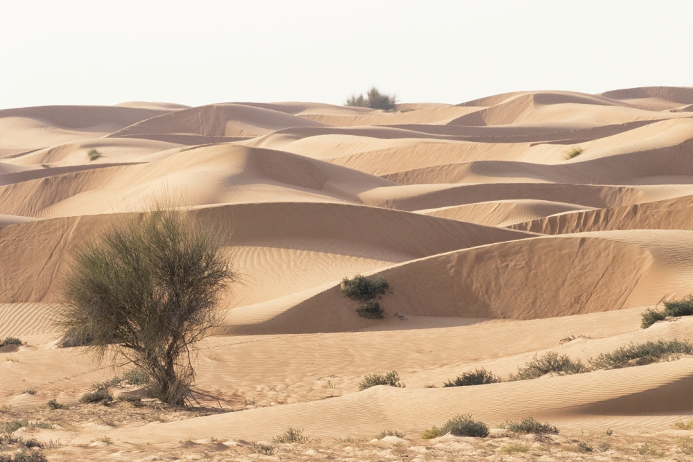 Desert landscape poster print featuring Abu Dhabi, UAE by Tom Norring.