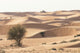 Desert landscape poster print featuring Abu Dhabi, UAE by Tom Norring.