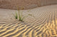 Desert landscape poster print featuring Abu Dhabi, UAE by Tom Norring.