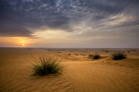 Sunrise in the Desert Art Print by Tom Norring showcasing Abu Dhabi landscape.