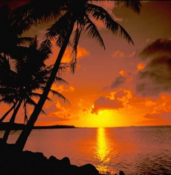 Ocean View at Sunset Poster Print by Bill Bachmann showcasing vibrant sunset colors over the ocean.