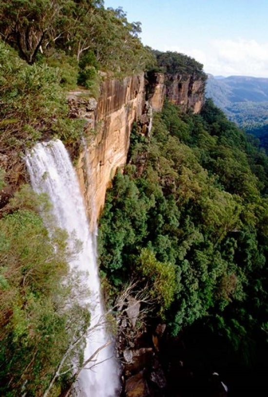 Fitzroy Falls Poster Print by Cindy Miller Hopkins showcasing stunning natural scenery.