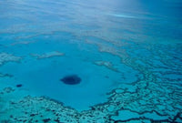 Australia Great Barrier Reef Blue Hole Poster Print by Cindy Miller Hopkins