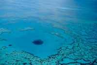 Blue Hole poster print featuring the Great Barrier Reef by Cindy Miller Hopkins
