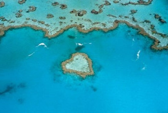 Heart Reef Poster Print showcasing the Whitsunday Islands in Australia by Cindy Miller Hopkins.
