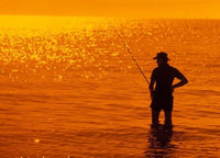 Fishing at Surfer's Paradise Art Print by David R. Frazier